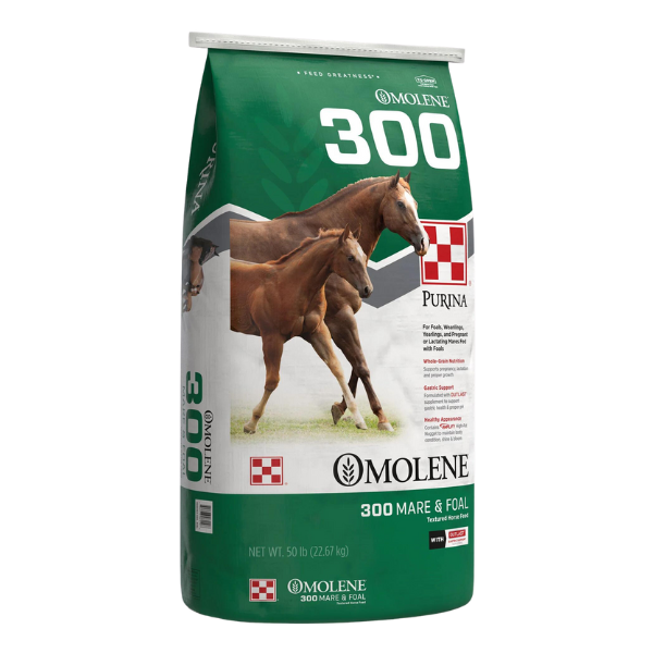 Omolene 300 Growth Horse Feed - Mares and Foals | Core Feed